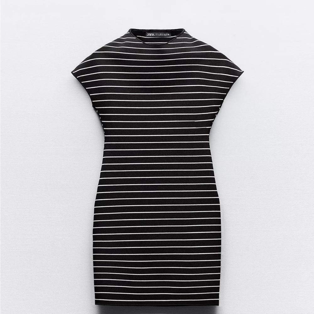 Zara Black and White Striped Dress